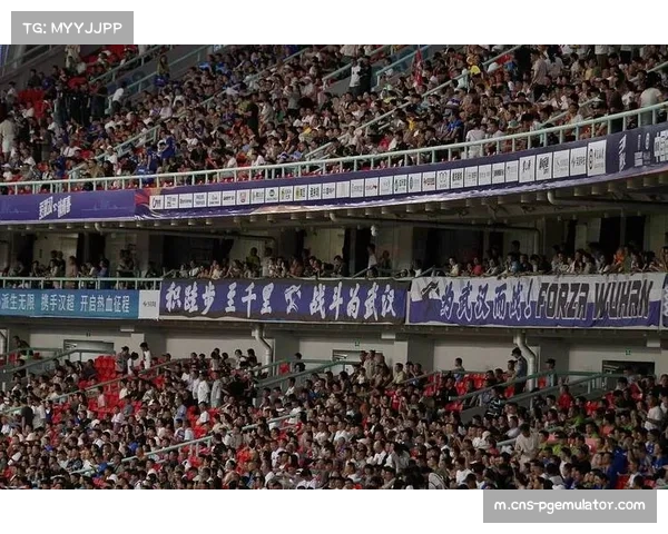 武汉三镇主场迎战对手，力争胜利保中超席位